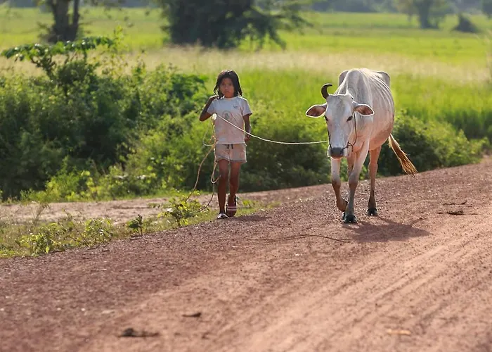 Kwatera prywatna Authentic Khmer Experience Package By Siem Reap Homesteading *