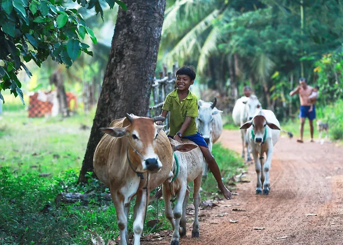 Authentic Khmer Experience Package By Siem Reap Homesteading Kwatera prywatna