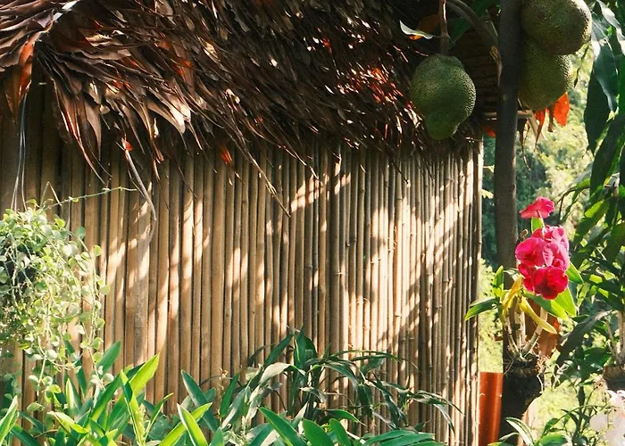 Authentic Khmer Experience Package By Siem Reap Homesteading