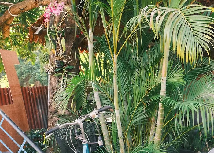Authentic Khmer Experience Package By Siem Reap Homesteading Kwatera prywatna *