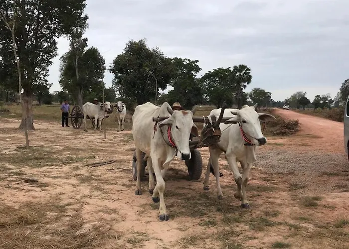Kwatera prywatna Authentic Khmer Experience Package By Siem Reap Homesteading