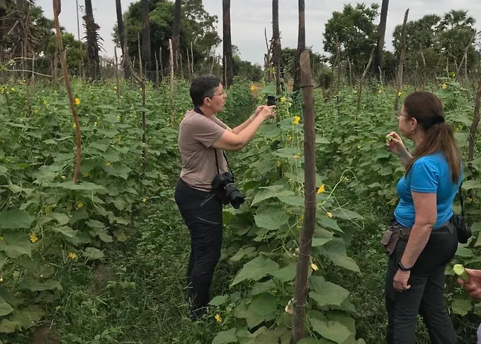 Kwatera prywatna Authentic Khmer Experience Package By Siem Reap Homesteading